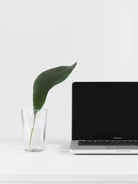 Web Design Services Surrey